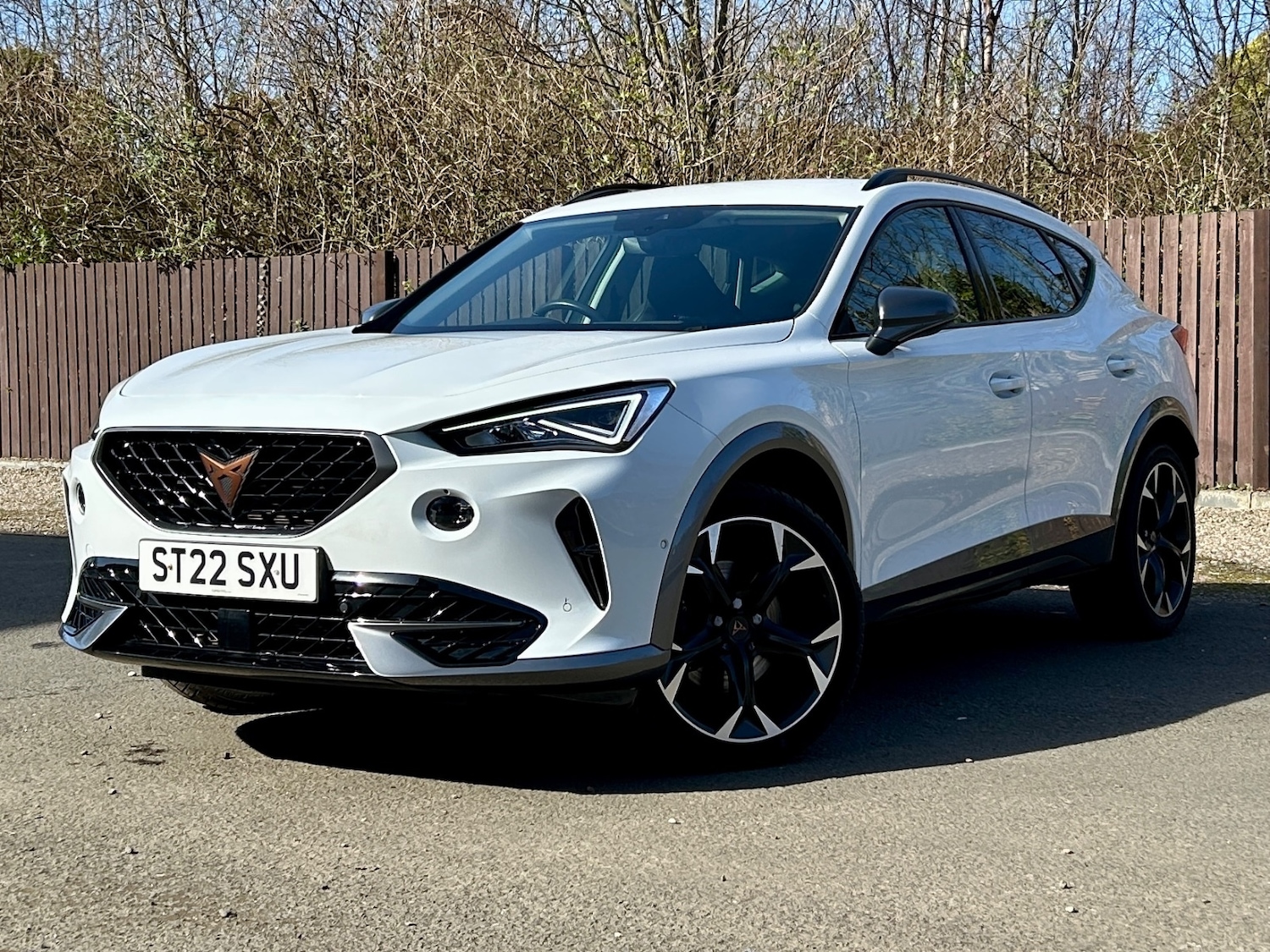 Used Cupra Formentor 2022 for sale - 78098609: Photo 3