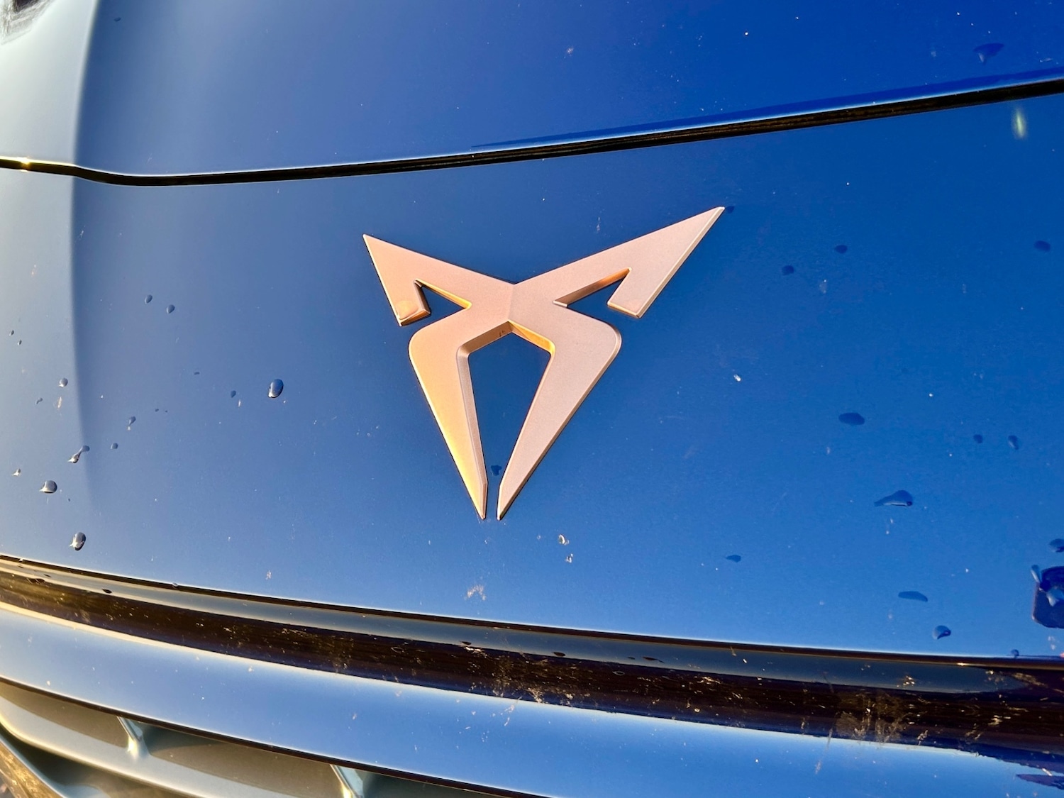 Used Cupra Terramar 2025 for sale - 76796968: Photo 6