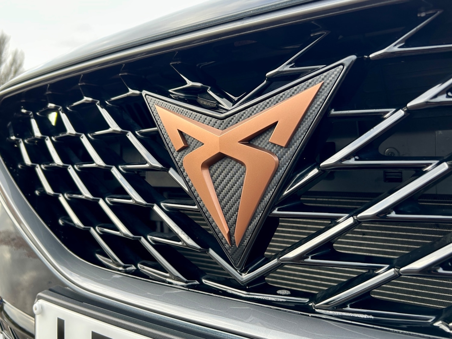 Used Cupra Formentor 2024 for sale - 76819060: Photo 6