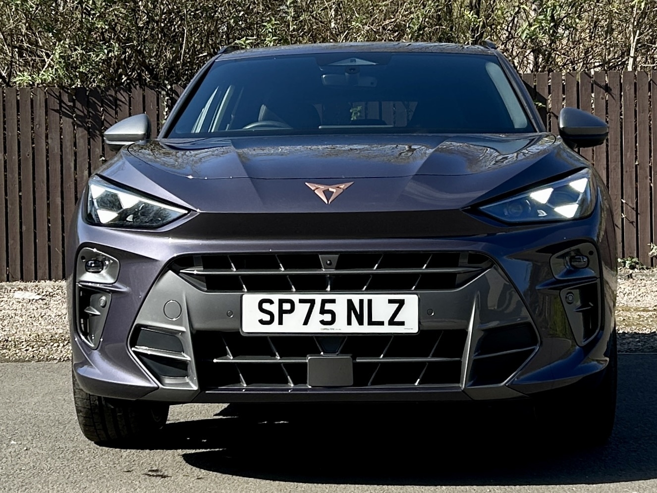 Used Cupra Terramar 2025 for sale - 78219703: Photo 2