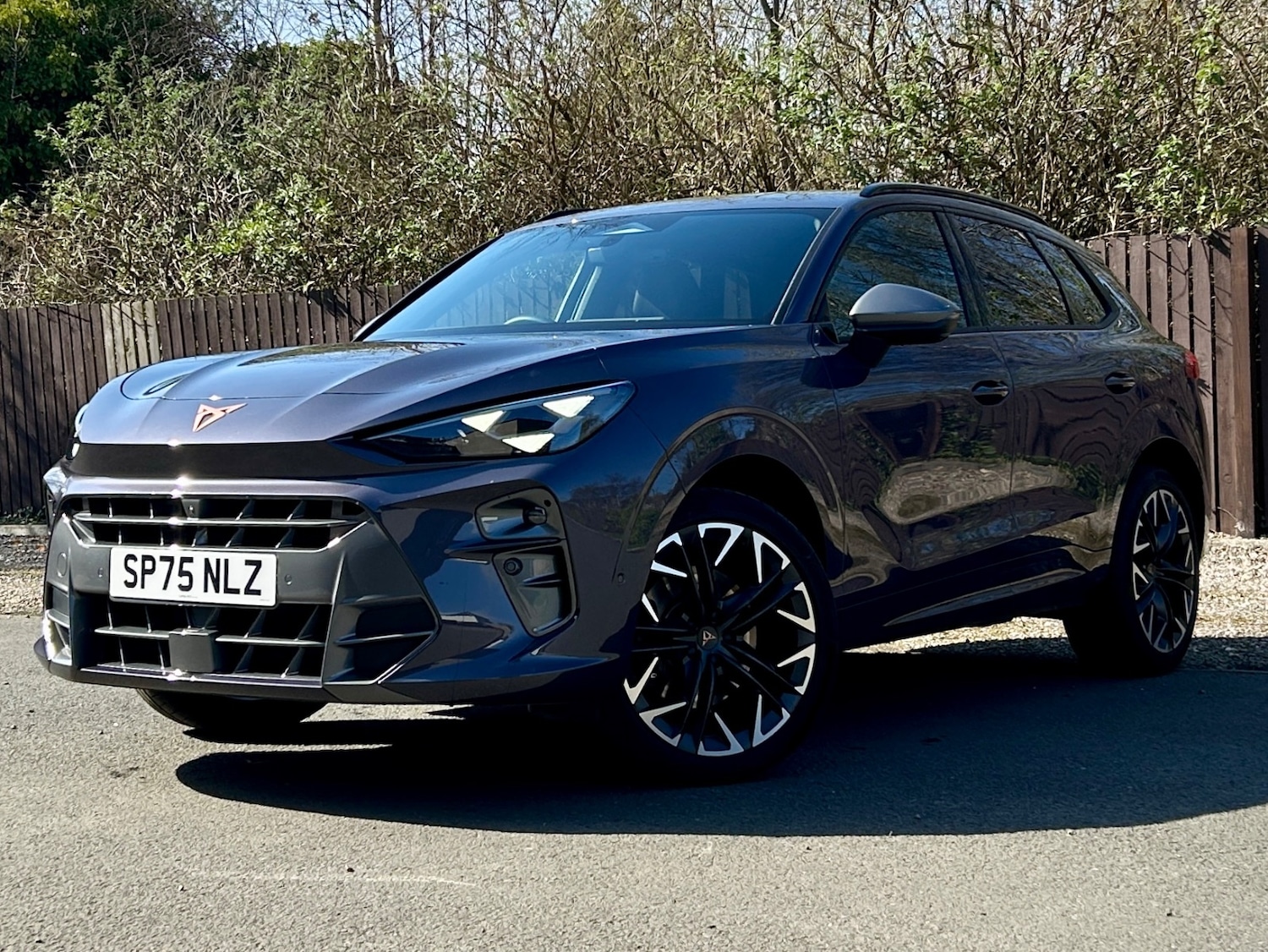 Used Cupra Terramar 2025 for sale - 78219703: Photo 3