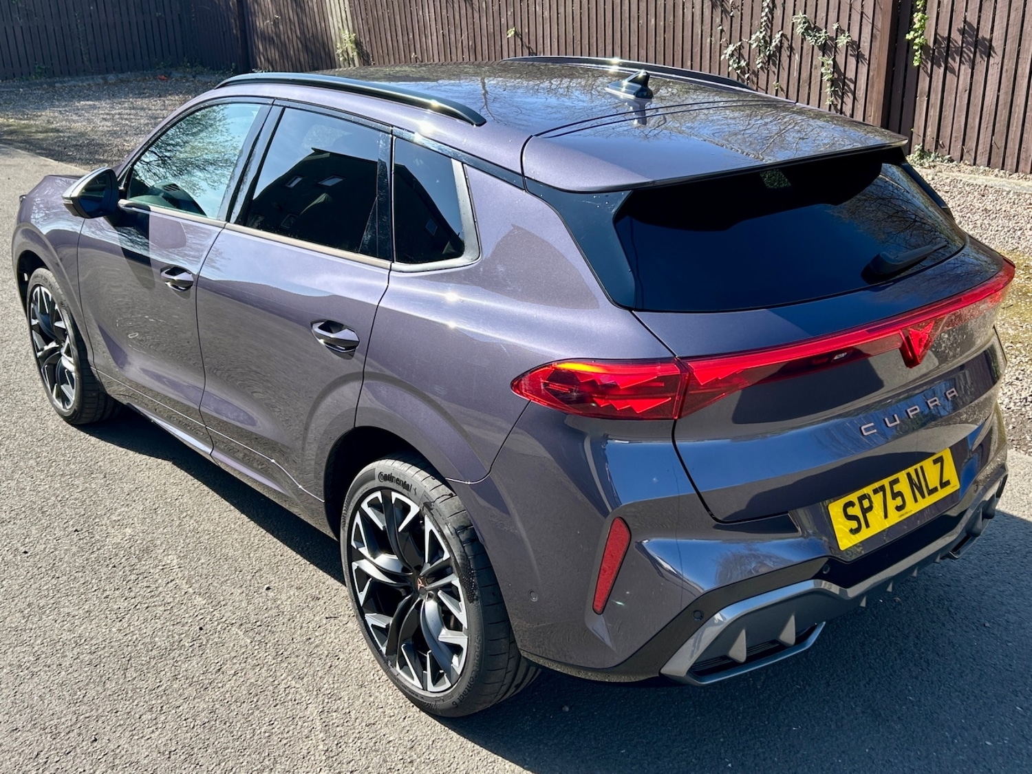 Used Cupra Terramar 2025 for sale - 78219703: Photo 7