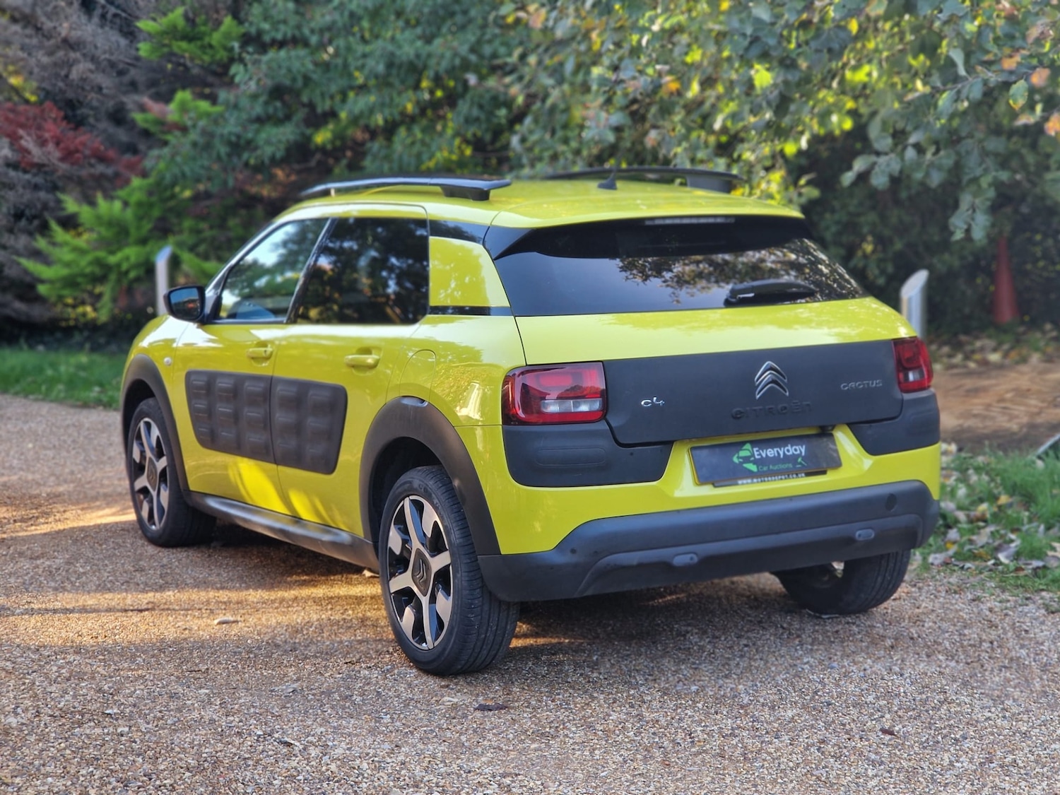Used Citroen C4 Cactus 2015 for sale - 76171014: Photo 19