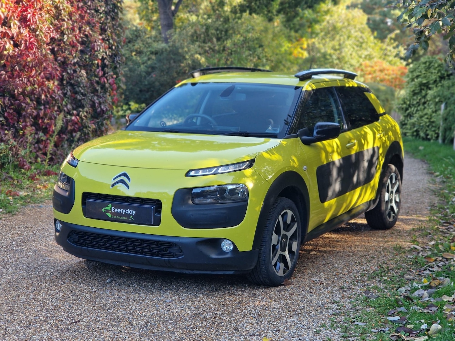 Used Citroen C4 Cactus 2015 for sale - 76171014: Photo 8