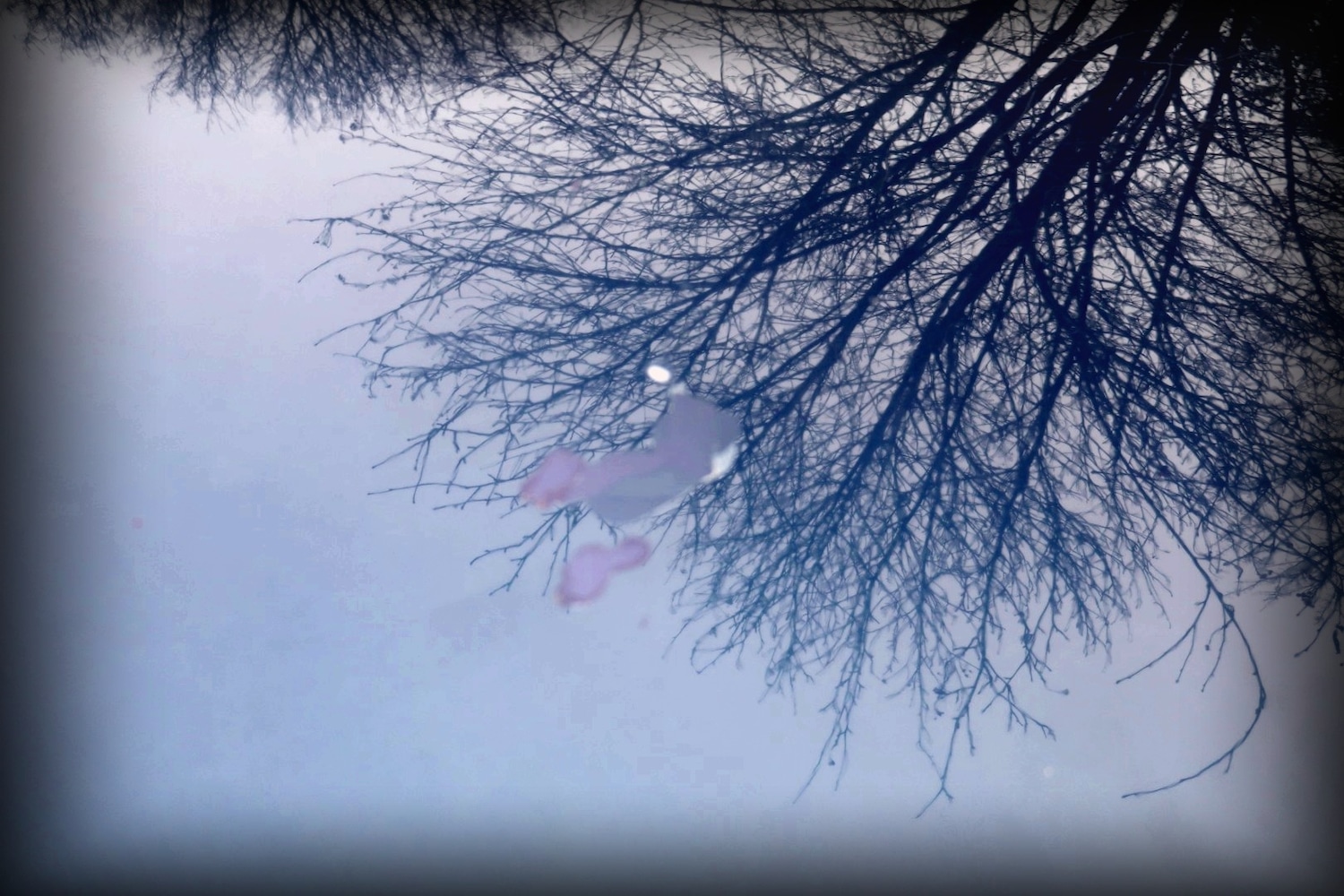 Used Volkswagen Golf 2009 for sale - 76971585: Photo 13