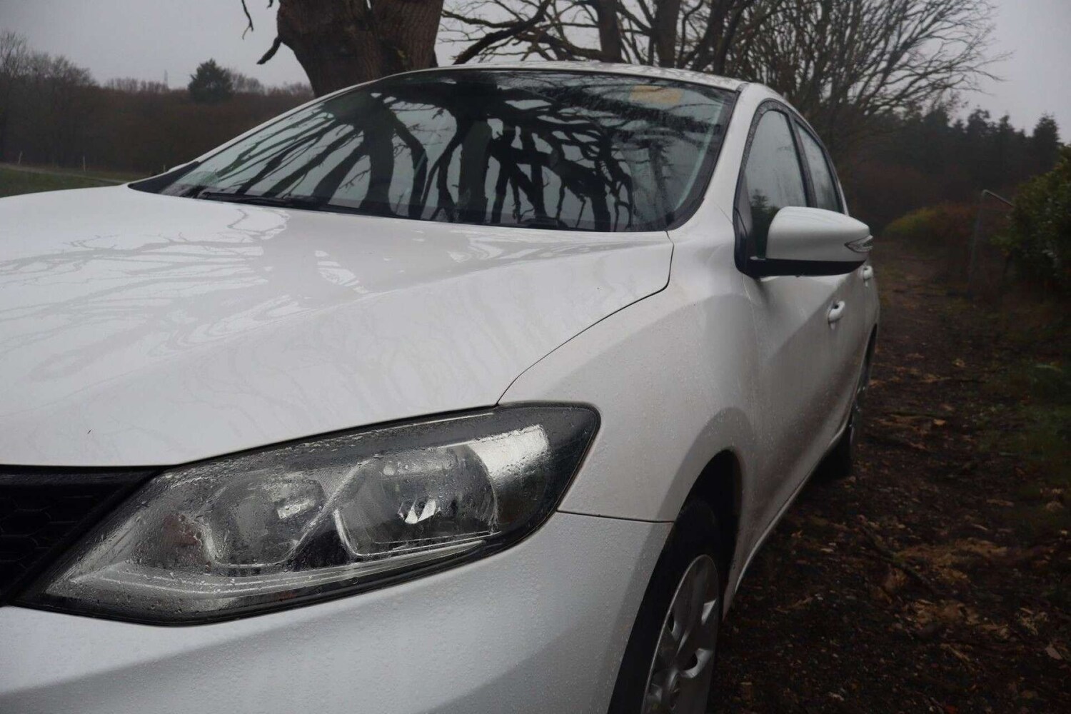 Used Nissan Pulsar 2016 for sale - 77919019: Photo 37