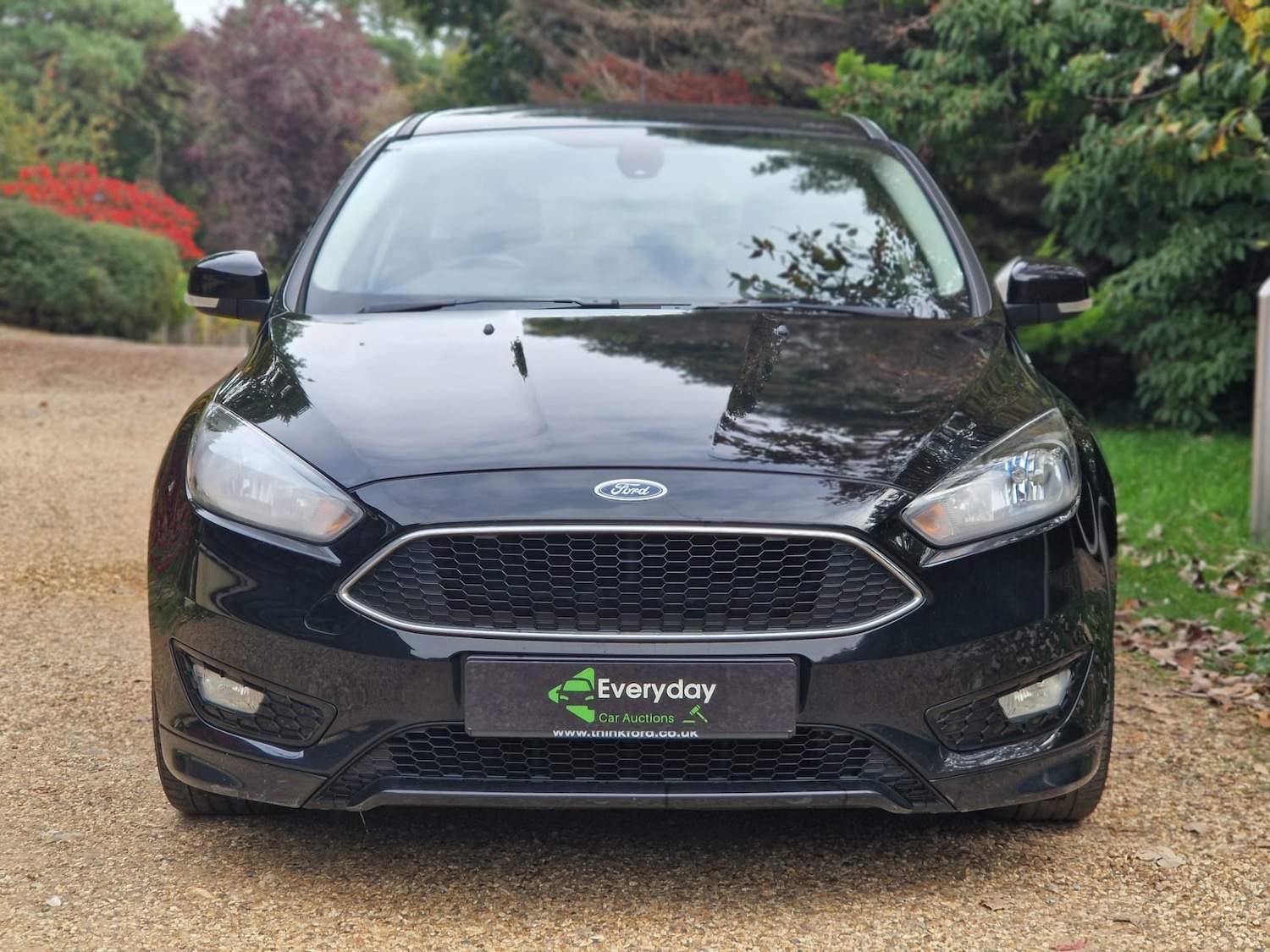 Used Ford Focus 2016 for sale - 76330365: Photo 1