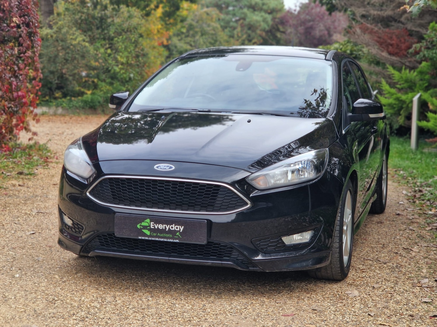 Used Ford Focus 2016 for sale - 76330365: Photo 5