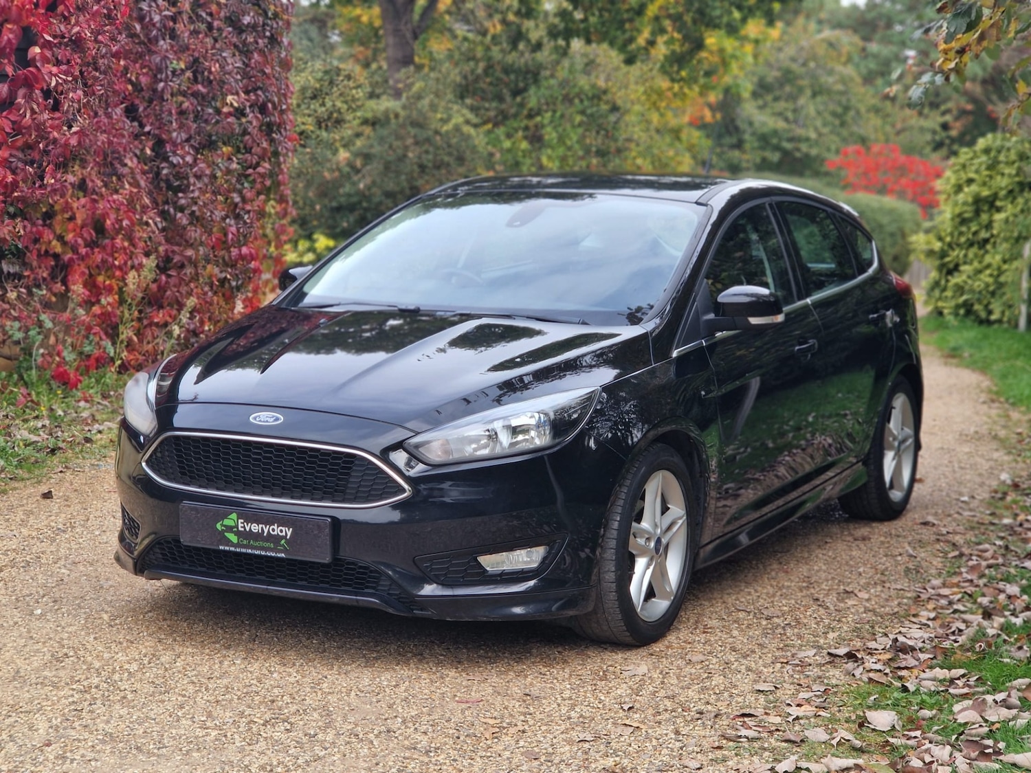 Used Ford Focus 2016 for sale - 76330365: Photo 6