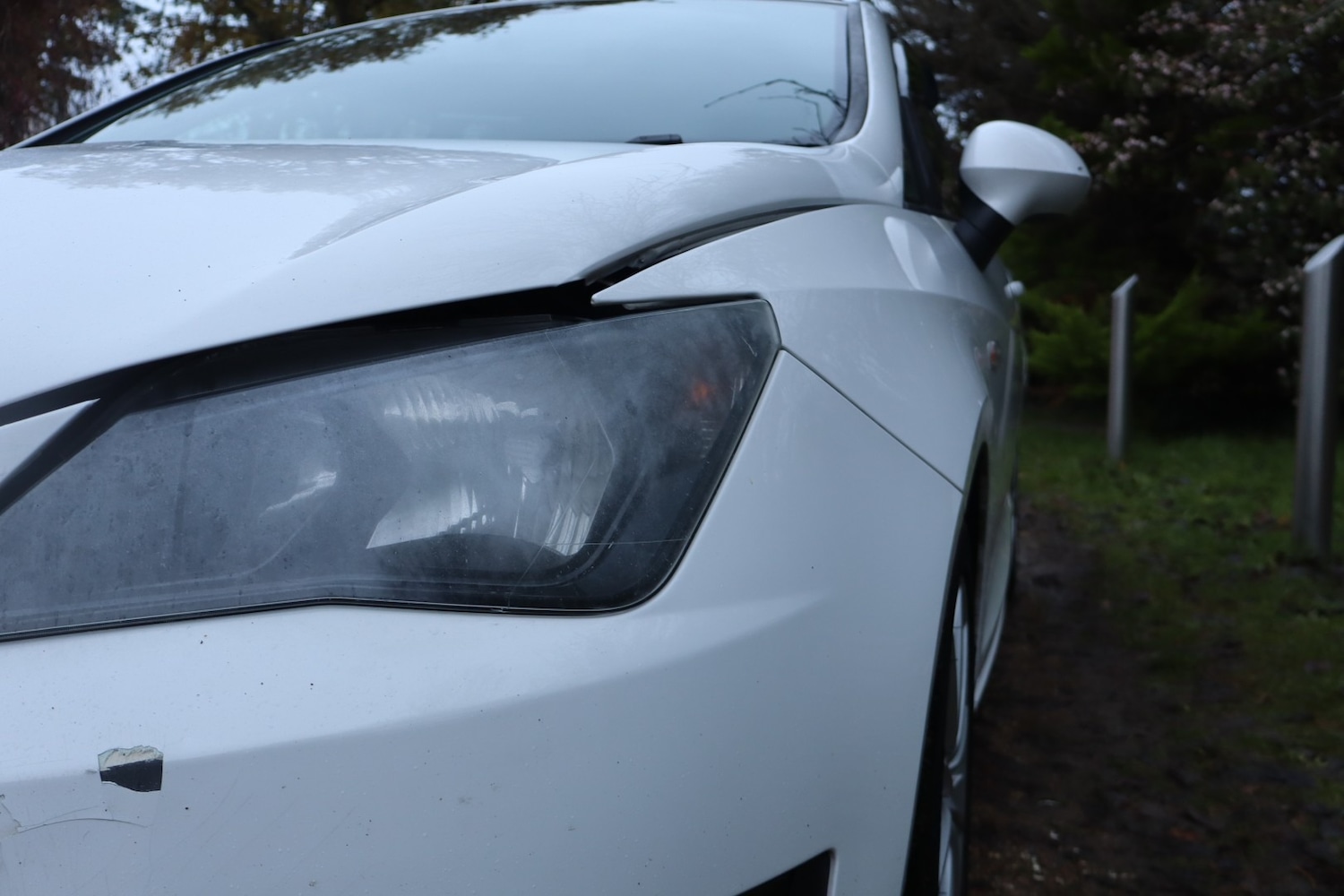 Used SEAT Ibiza 2013 for sale - 76673096: Photo 7