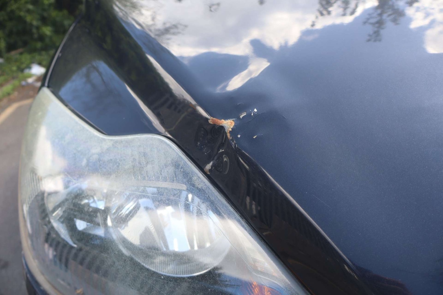 Used Ford Focus 2008 for sale - 78225891: Photo 13