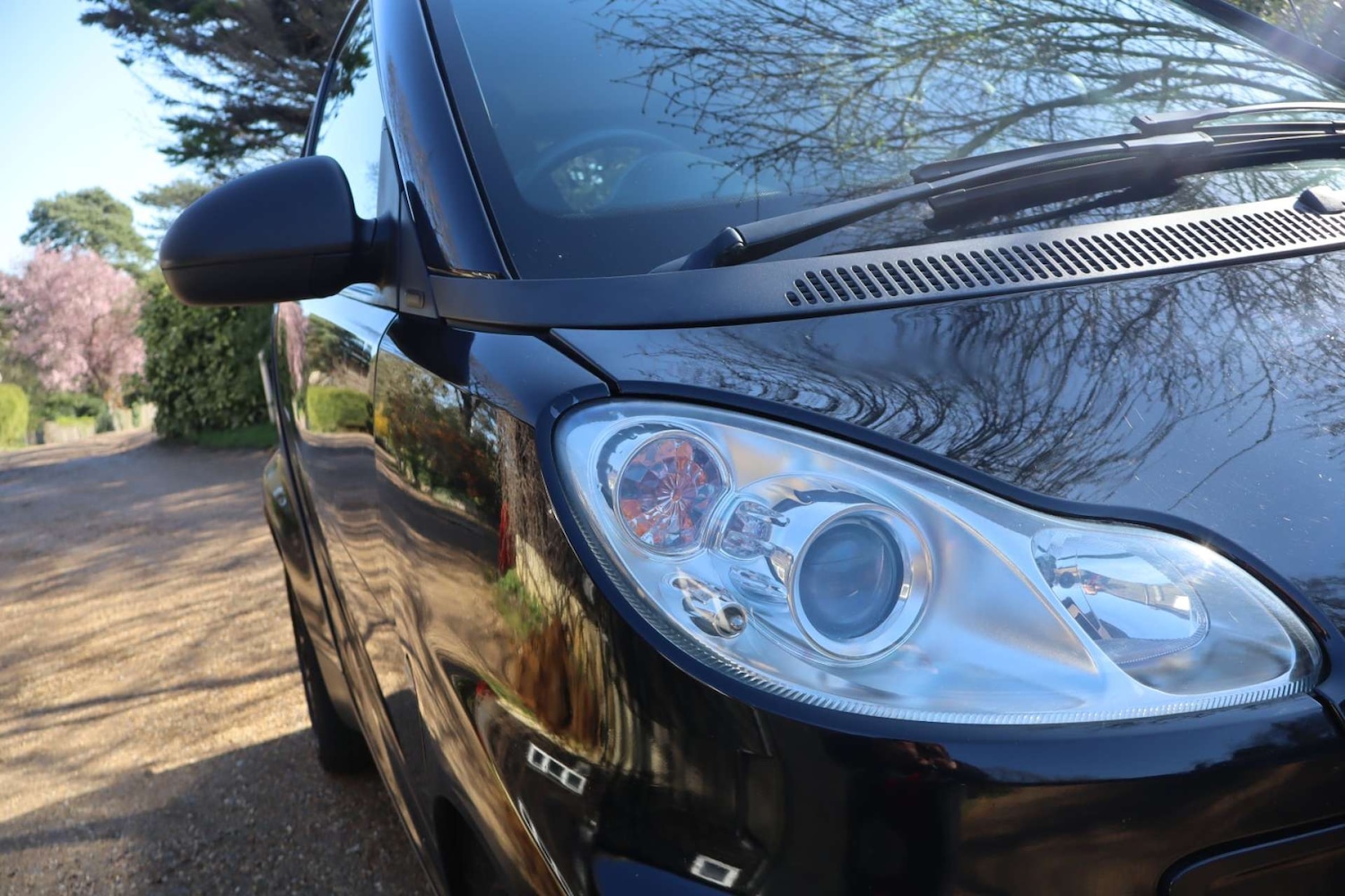 Used smart fortwo 2009 for sale - 77931936: Photo 11