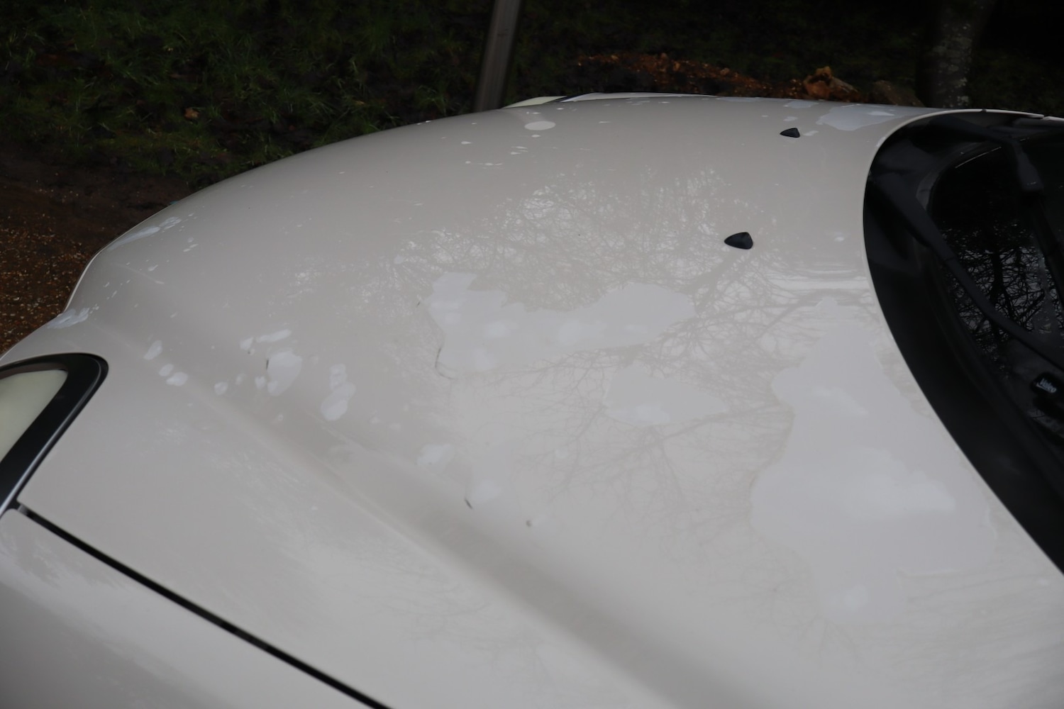 Used Alfa Romeo MiTo 2010 for sale - 77474878: Photo 16