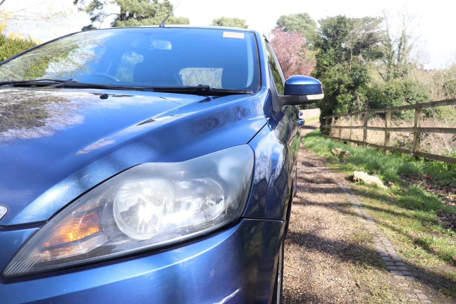 Used Ford Focus 2008 for sale - 78014273: Photo 12