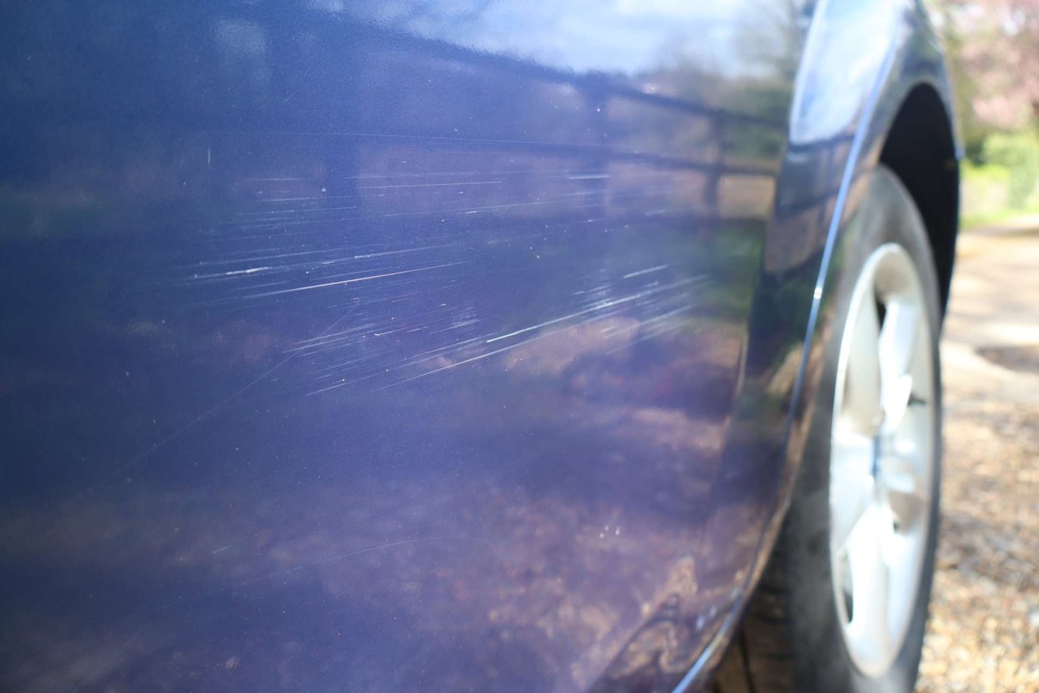 Used Ford Focus 2008 for sale - 78014273: Photo 19