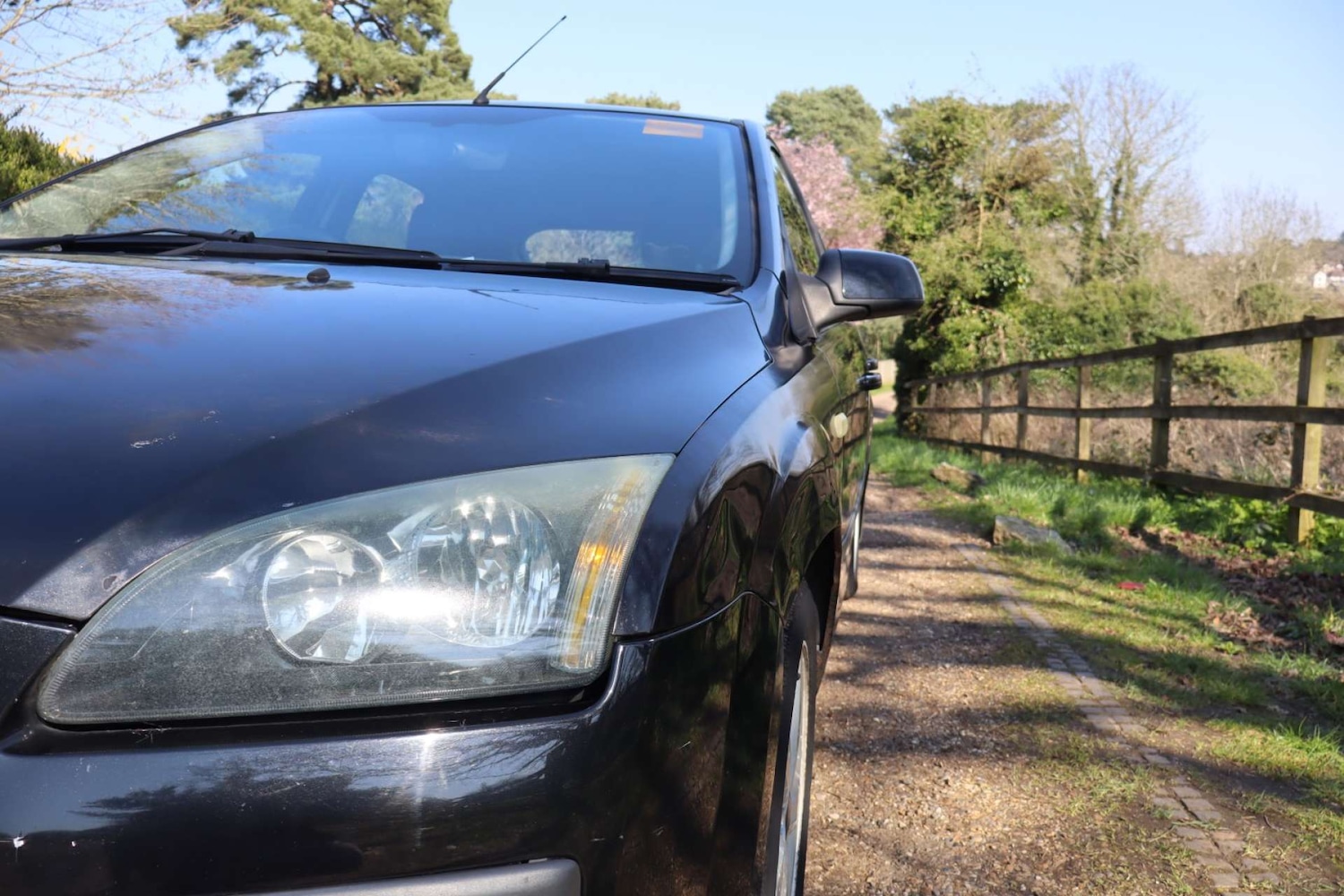 Used Ford Focus 2005 for sale - 77950360: Photo 12