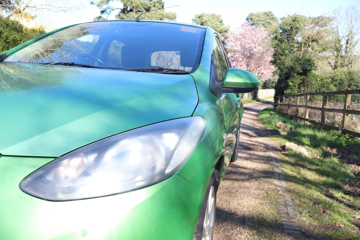 Used Mazda Mazda2 2008 for sale - 77934057: Photo 12