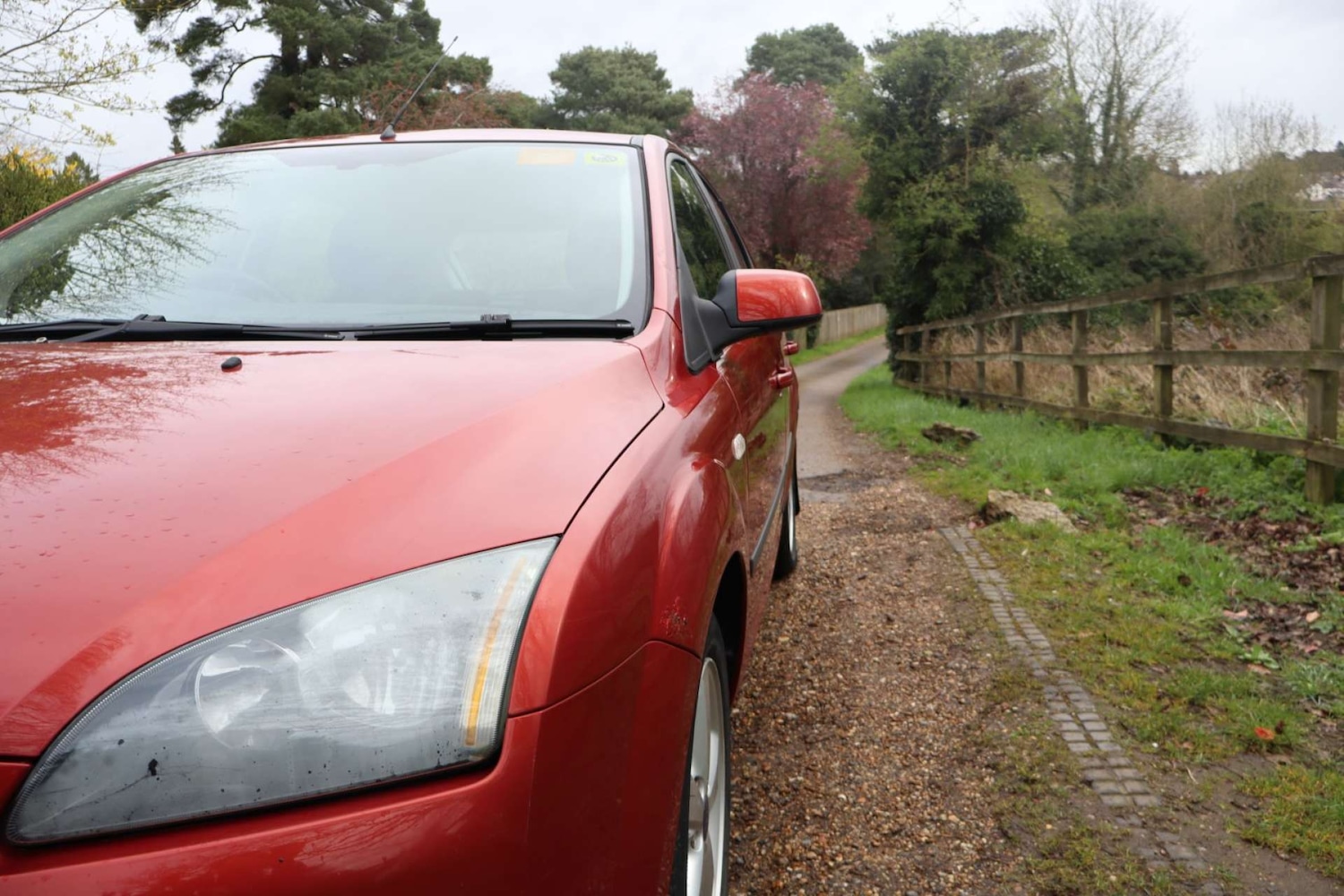 Used Ford Focus 2006 for sale - 78011956: Photo 12