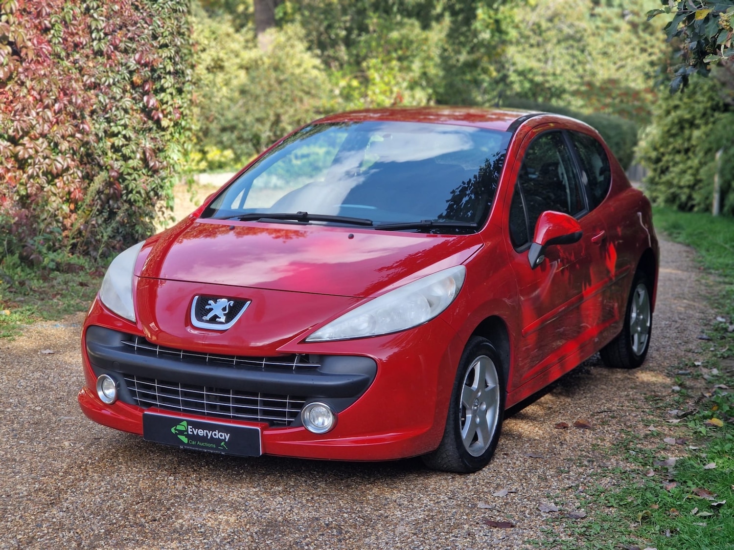 Used Peugeot 207 2009 for sale - 76102566: Photo 6
