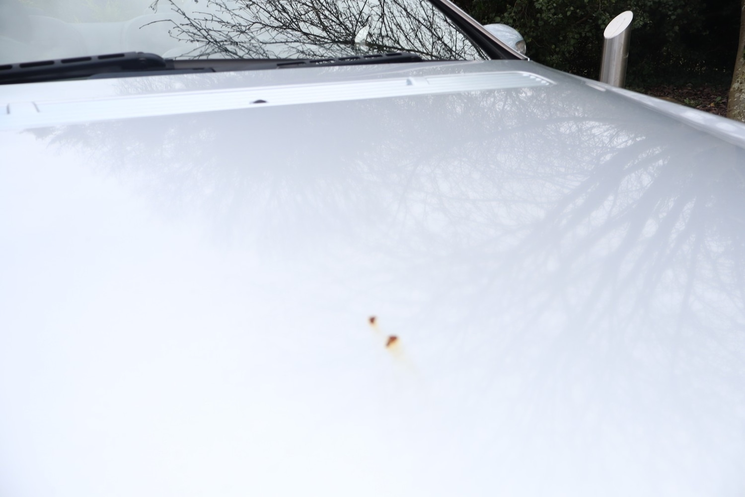 Used Mercedes-Benz CLK 2006 for sale - 77616471: Photo 10