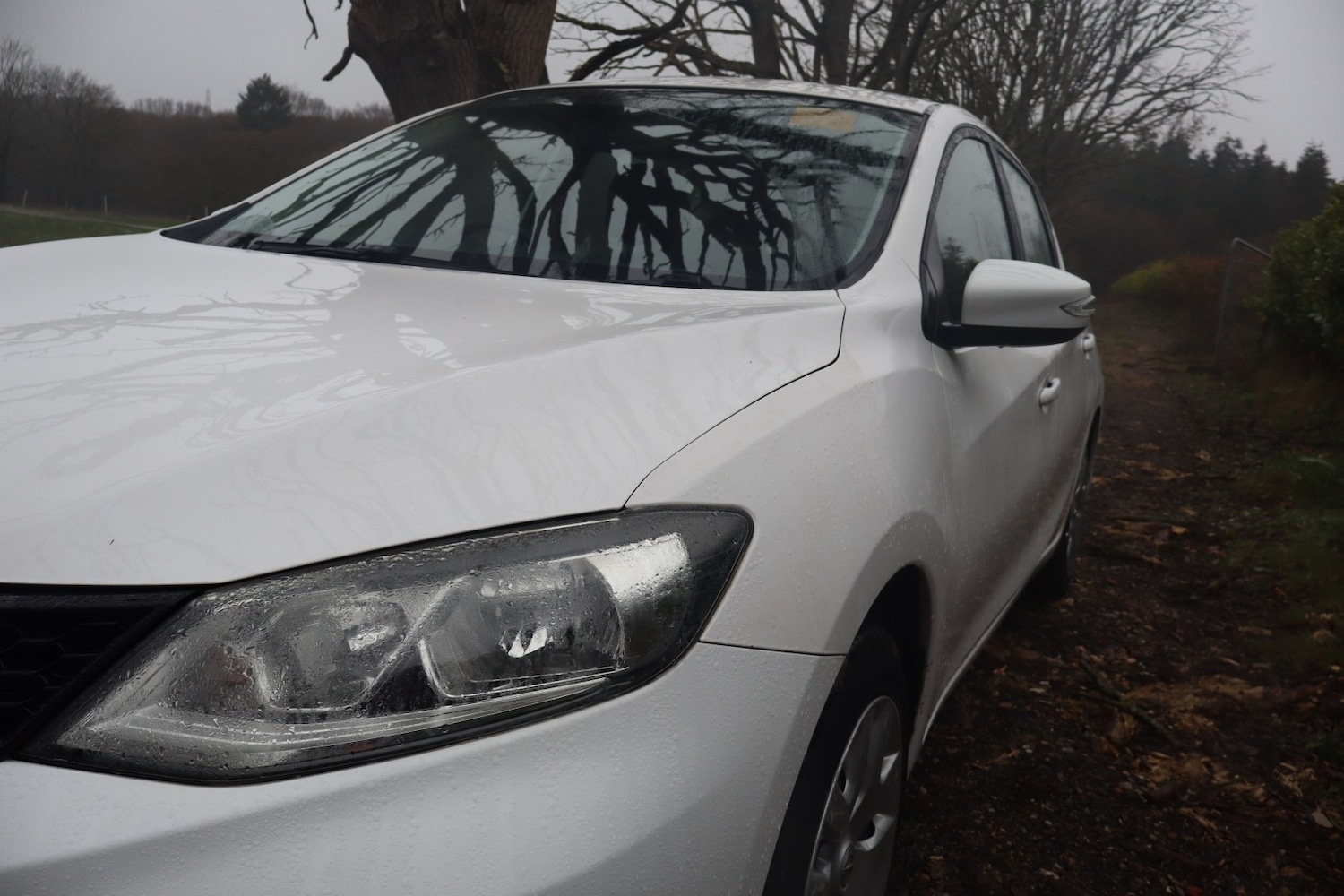 Used Nissan Pulsar 2016 for sale - 77789046: Photo 10