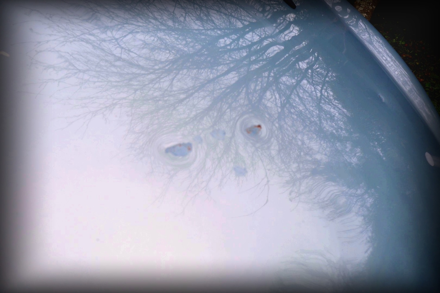 Used Ford Fiesta 2009 for sale - 76969253: Photo 10