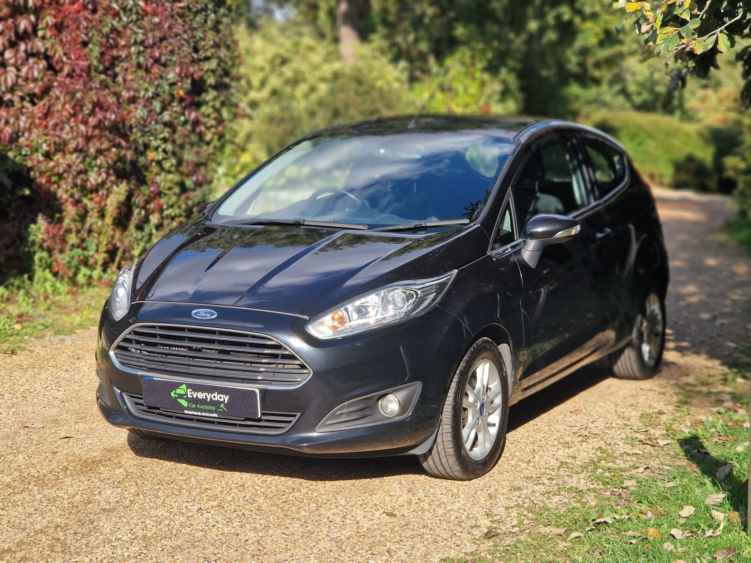 Used Ford Fiesta 2015 for sale - 76116668: Photo 8