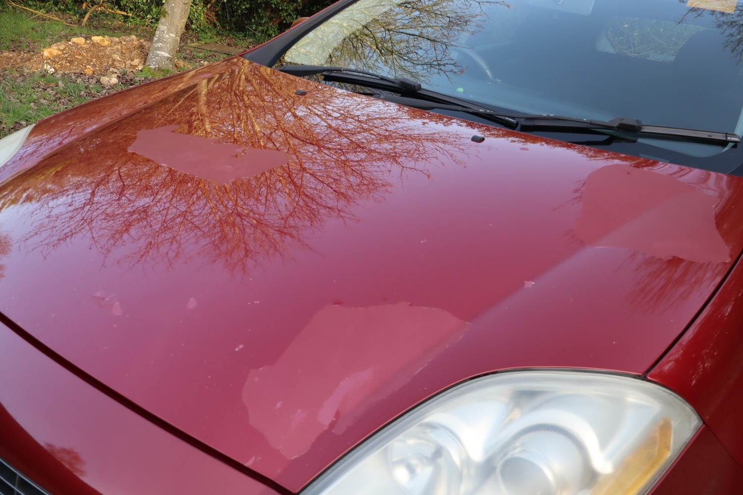 Used Fiat Bravo 2010 for sale - 77665305: Photo 12