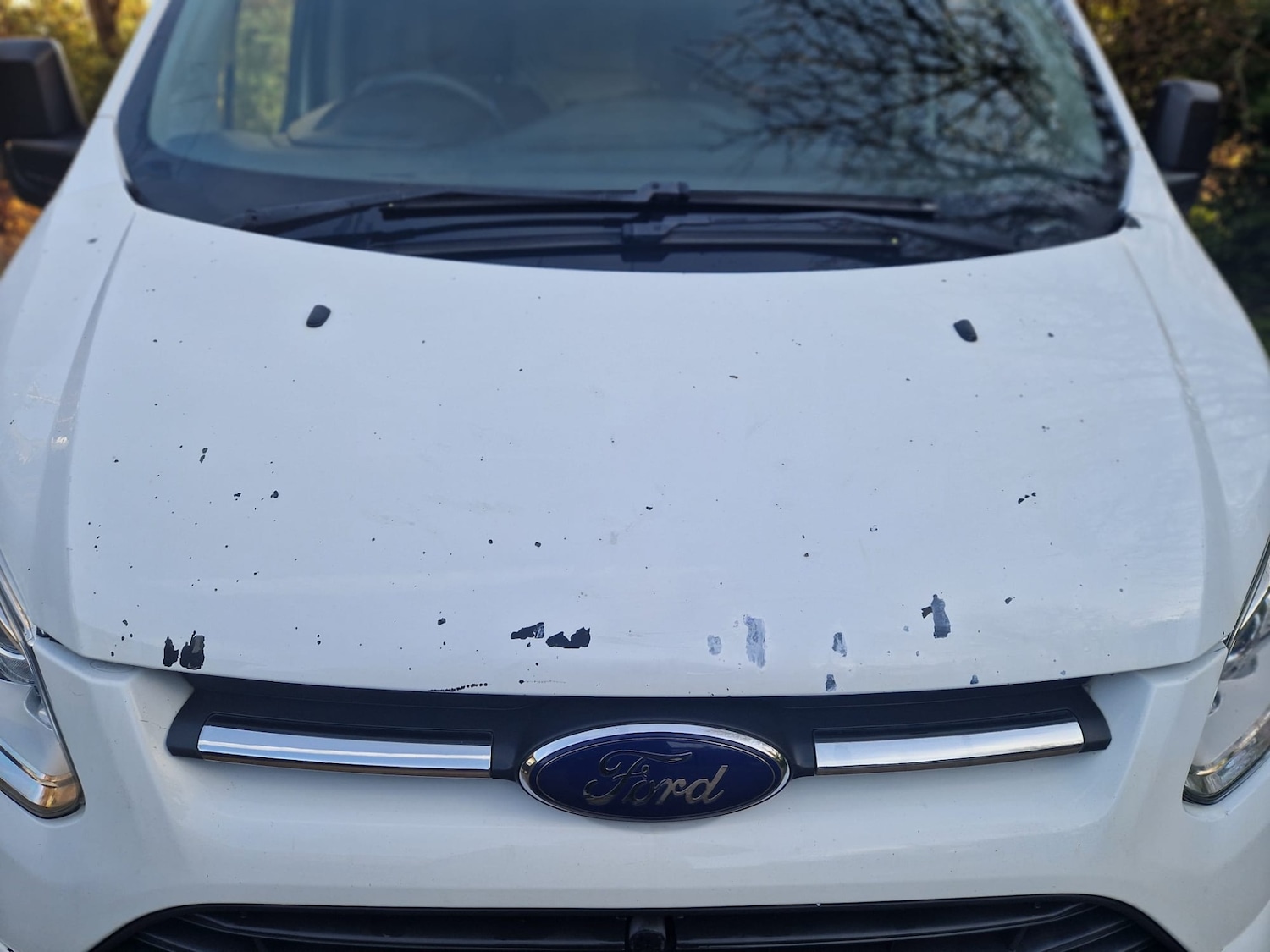 Used Ford Transit Custom 2013 for sale - 76831102: Photo 11