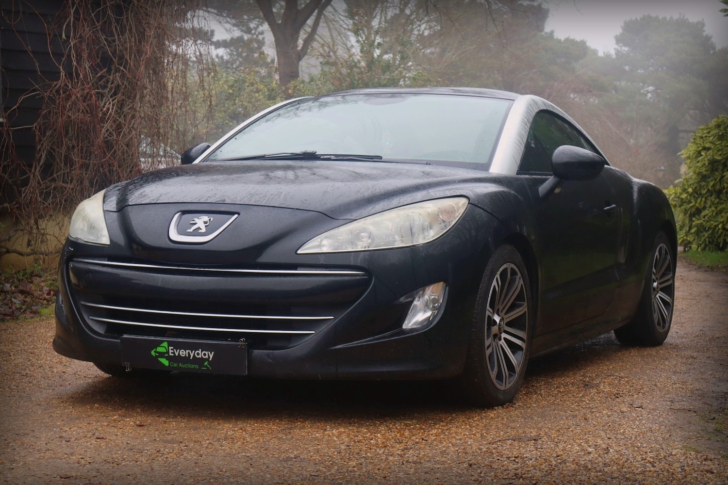 Used Peugeot RCZ 2011 for sale - 77136643: Photo 10