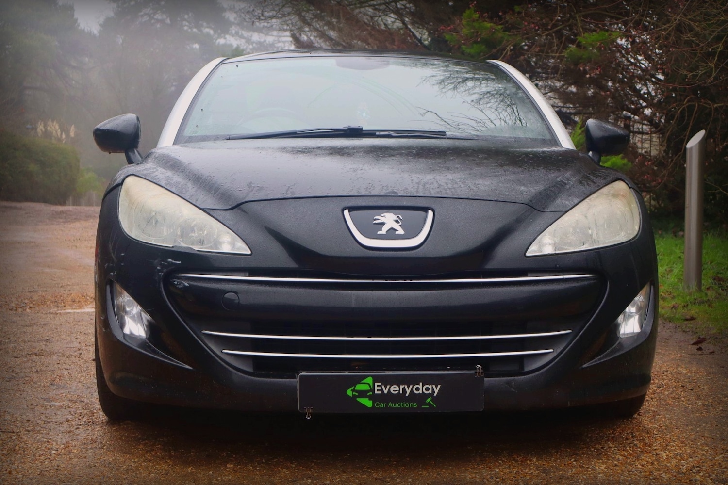 Used Peugeot RCZ 2011 for sale - 77136643: Photo 11