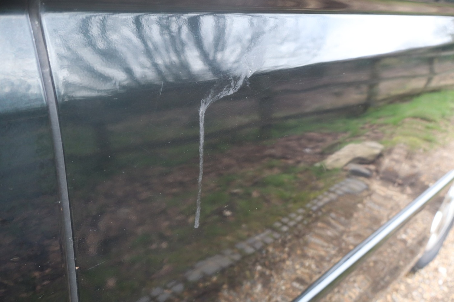 Used Nissan Elgrand 2022 for sale - 77590178: Photo 11