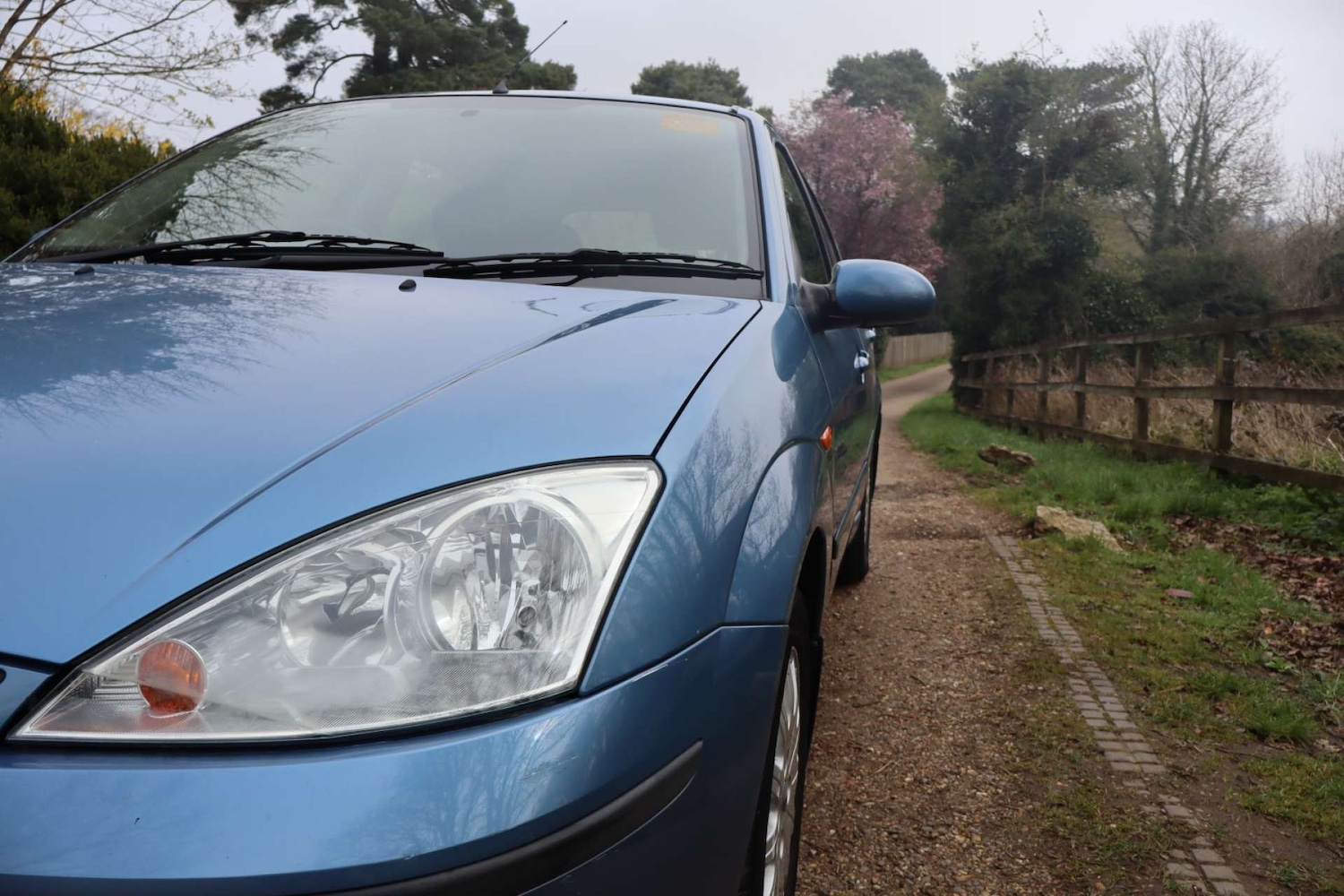 Used Ford Focus 2003 for sale - 77963160: Photo 12