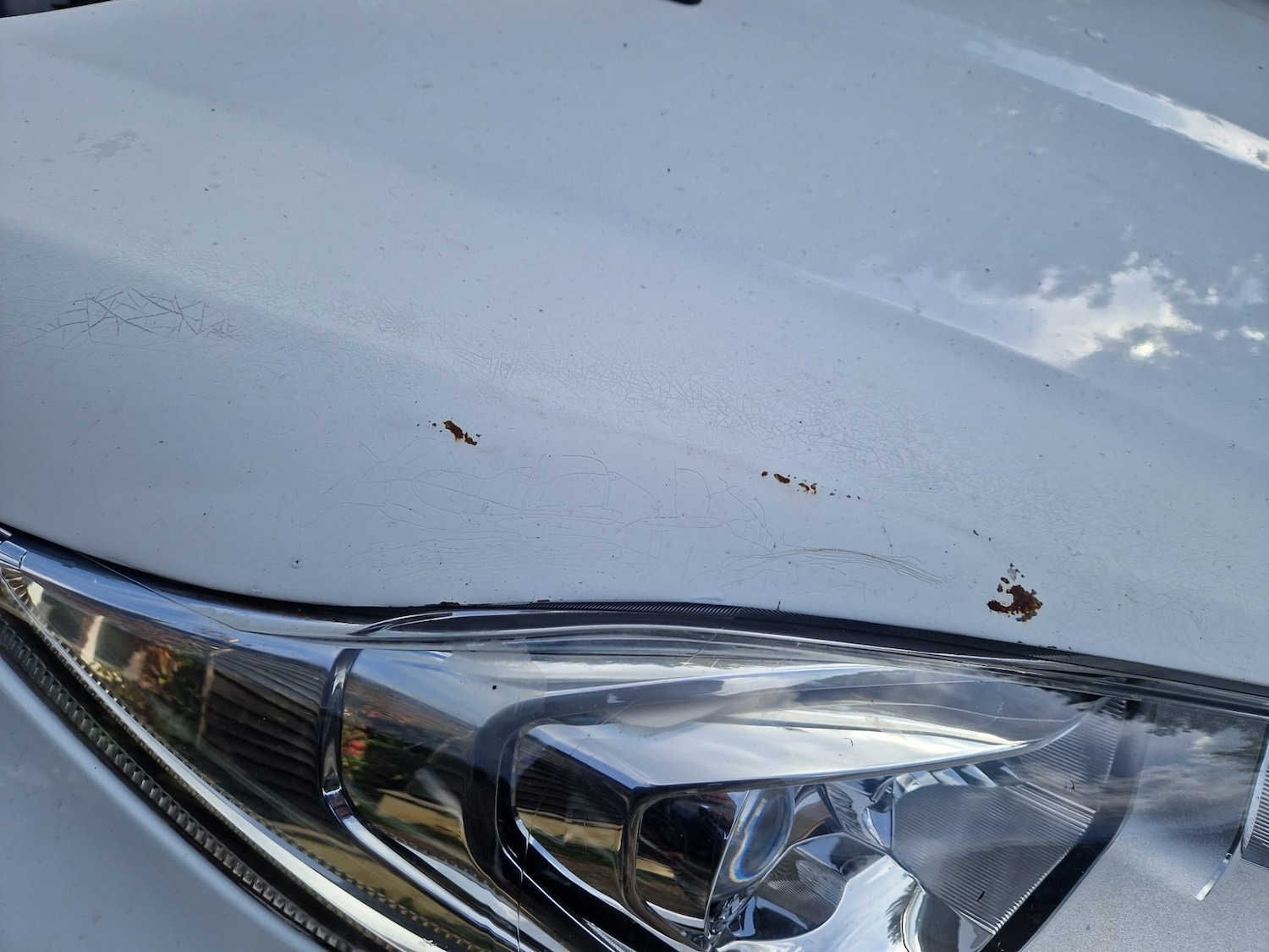 Used Ford Fiesta 2013 for sale - 76101939: Photo 10
