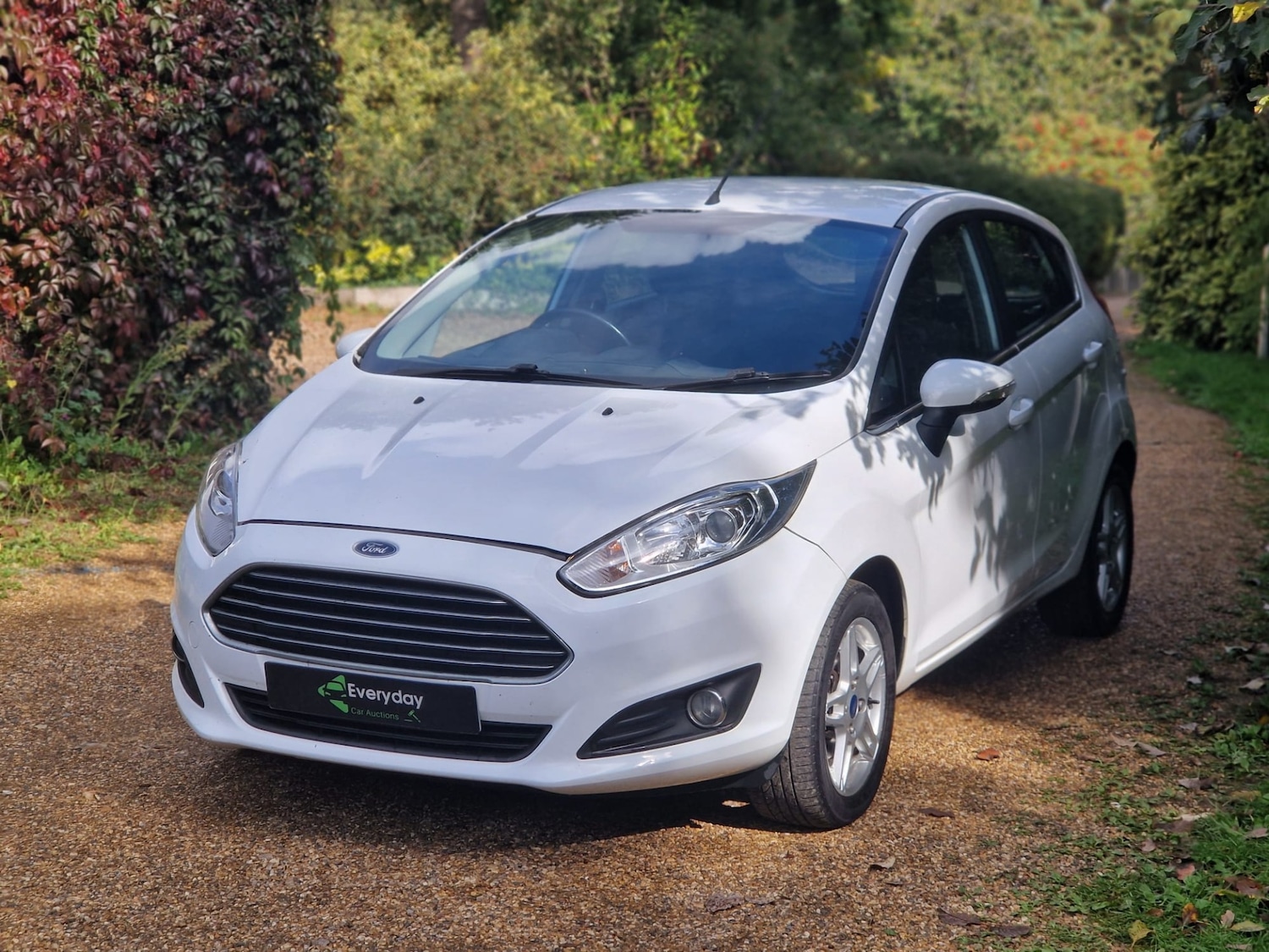 Used Ford Fiesta 2013 for sale - 76101939: Photo 8