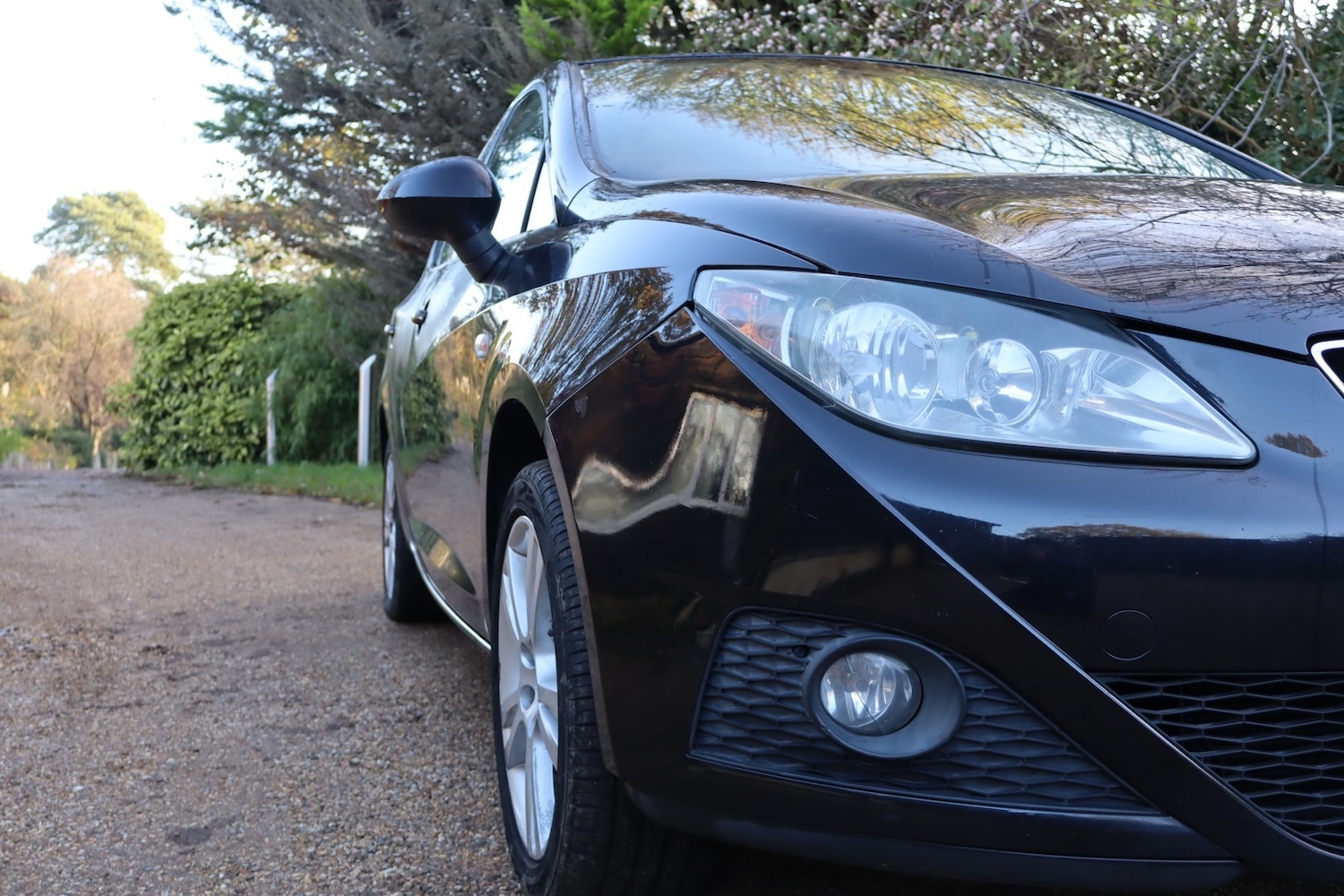 Used SEAT Ibiza 2008 for sale - 76662539: Photo 6