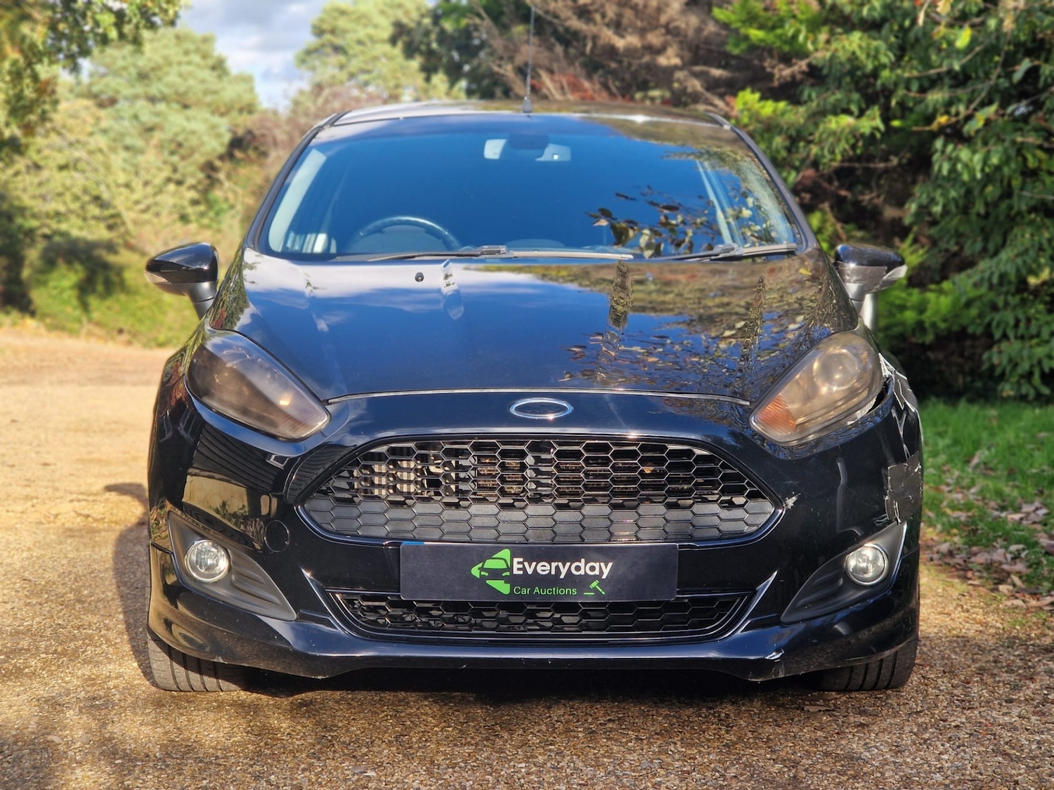 Used Ford Fiesta 2013 for sale - 76366631: Photo 1