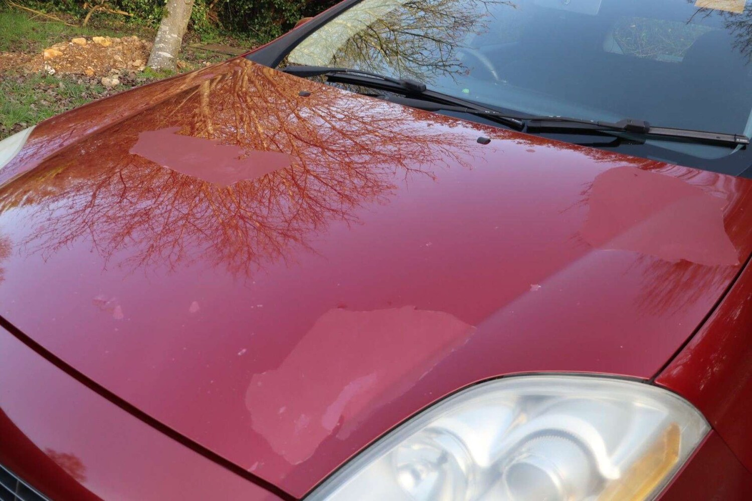 Used Fiat Bravo 2010 for sale - 77910126: Photo 28