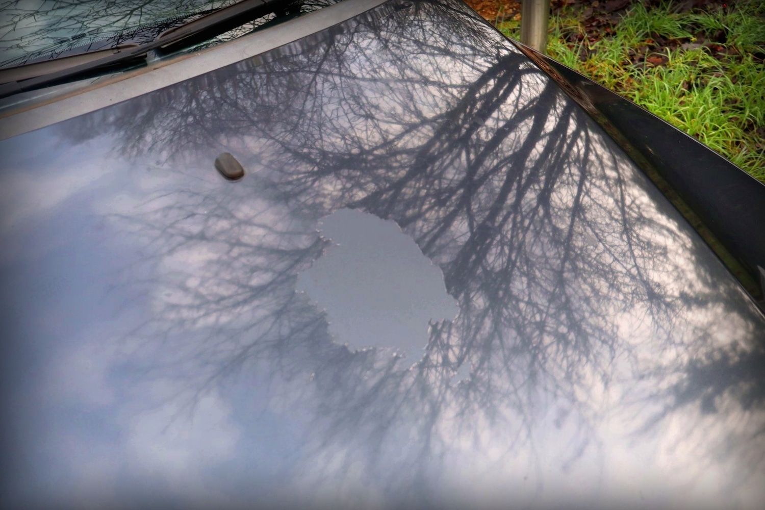 Used Ford Focus 2006 for sale - 77023587: Photo 12