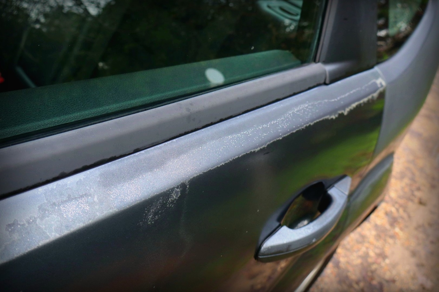 Used Ford Focus 2006 for sale - 77023587: Photo 15