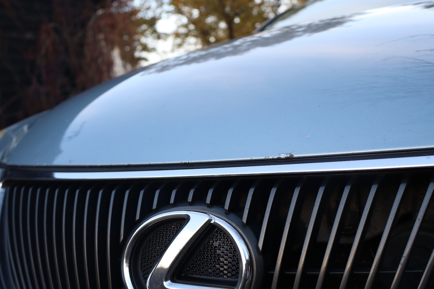 Used Lexus IS 2008 for sale - 76718722: Photo 22