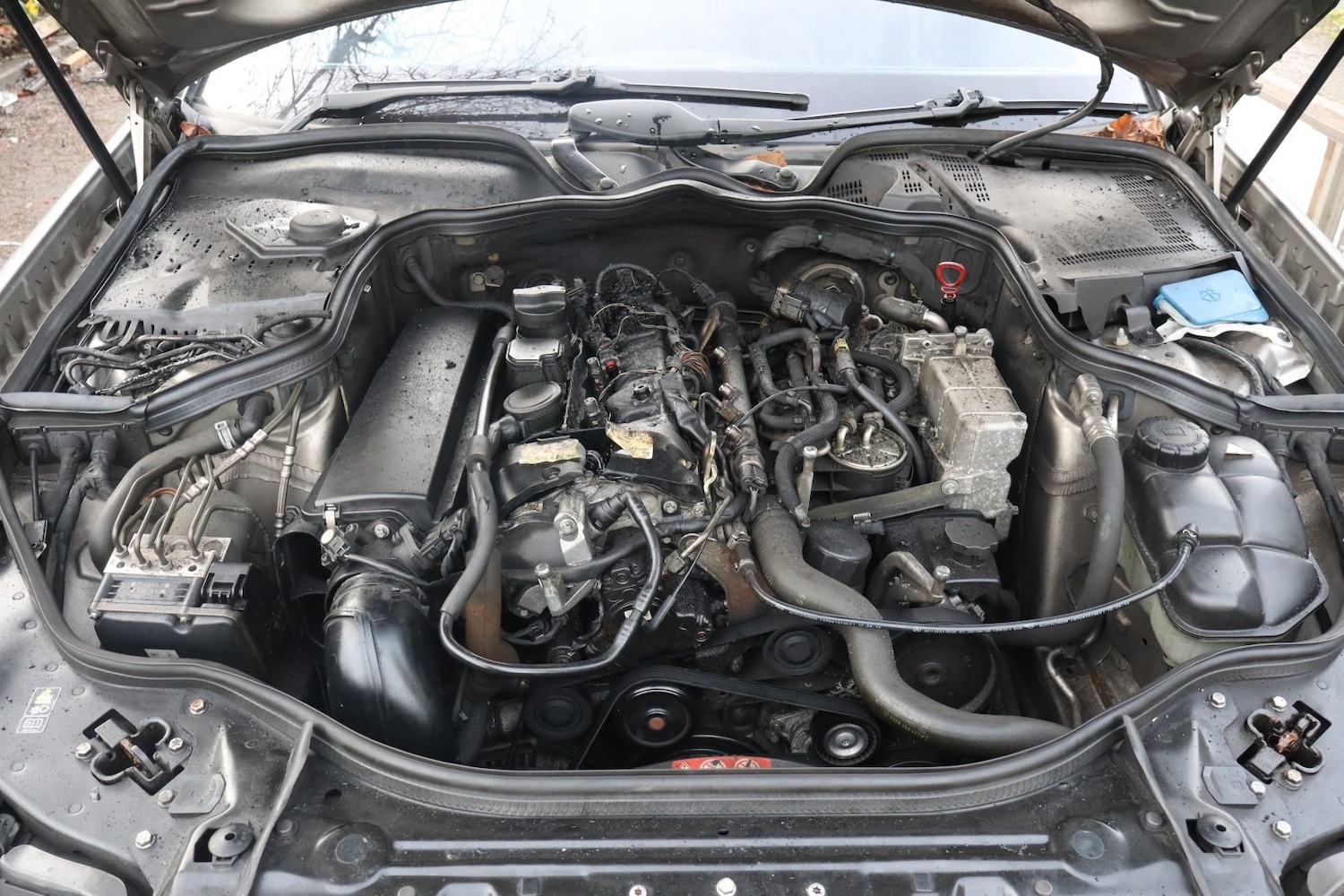 Used Mercedes-Benz E Class 2008 for sale - 77024339: Photo 4