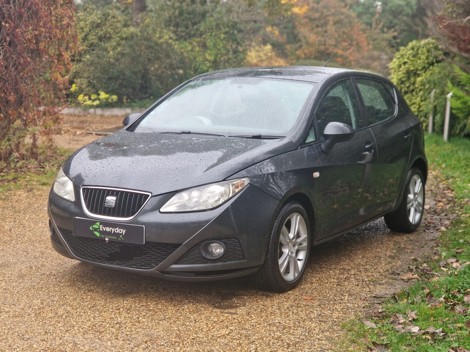 Used SEAT Ibiza 2009 for sale - 76490946: Photo 6