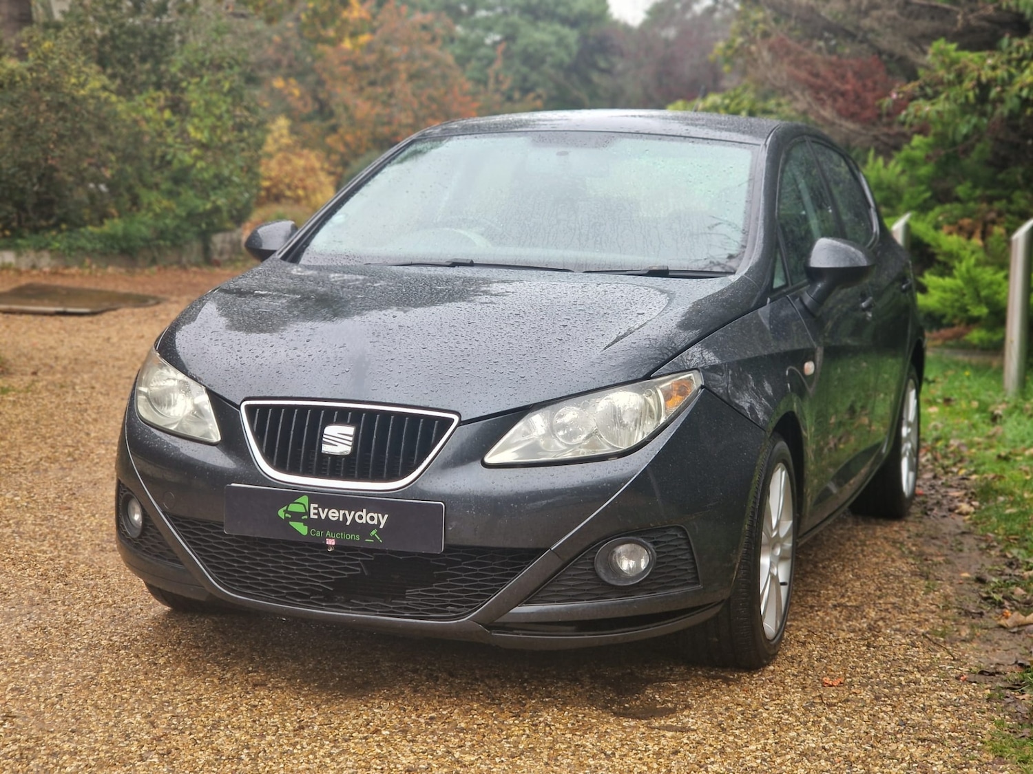 Used SEAT Ibiza 2009 for sale - 76490946: Photo 7