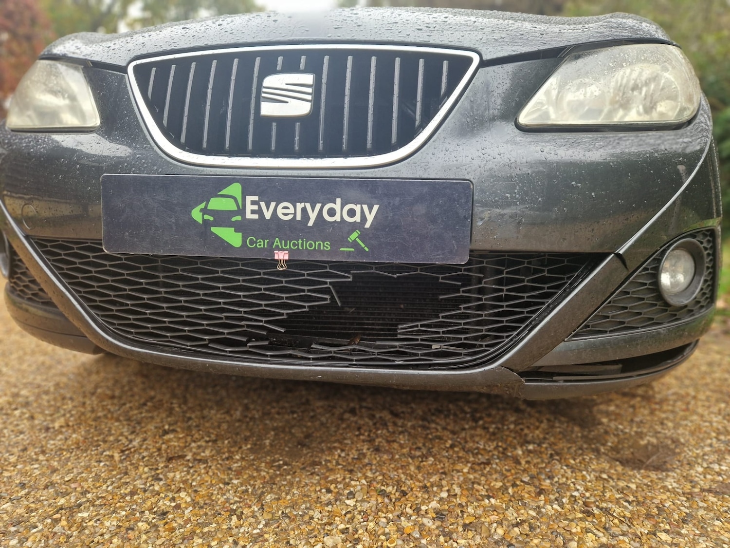 Used SEAT Ibiza 2009 for sale - 76490946: Photo 9