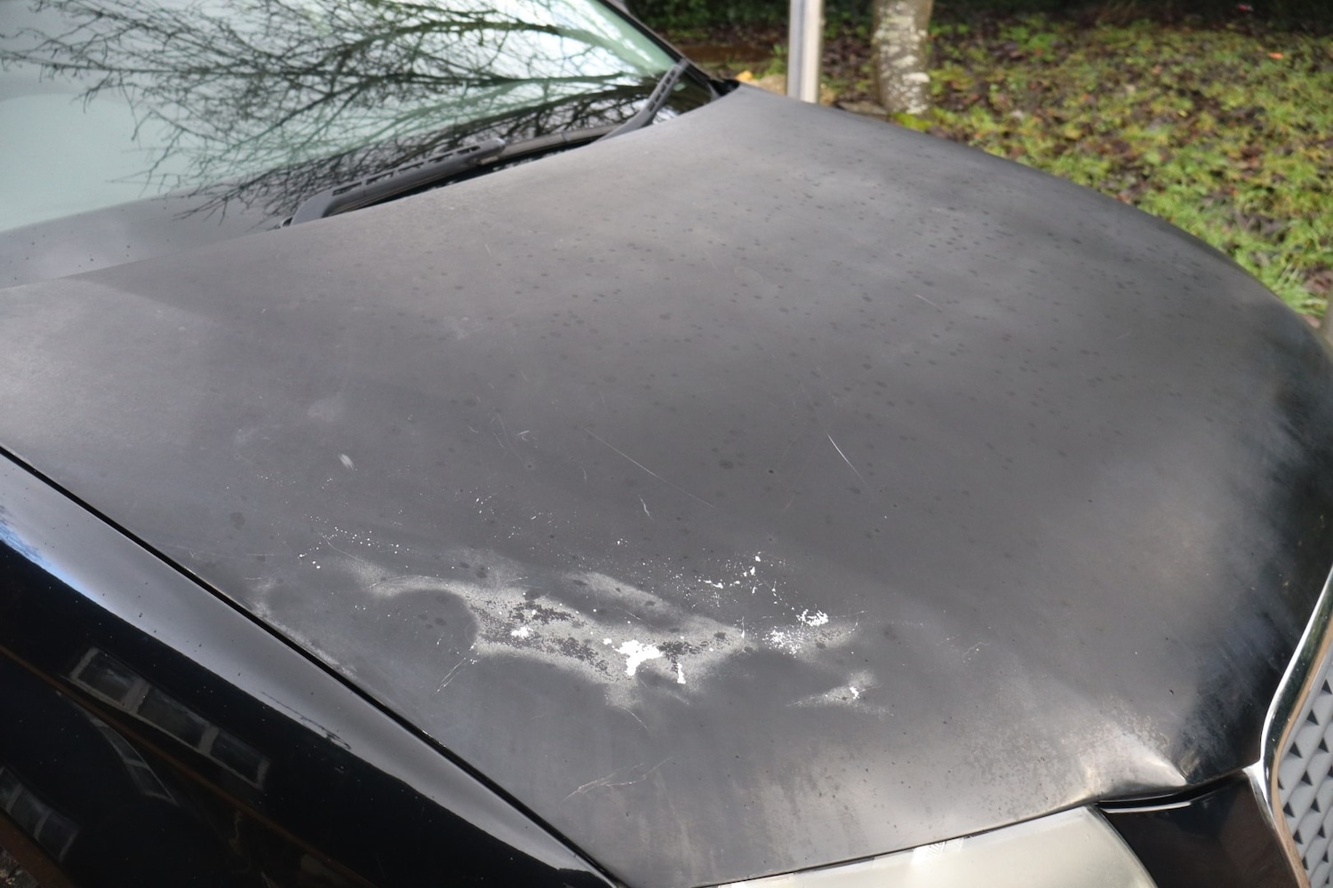 Used Audi A3 2008 for sale - 77223366: Photo 14