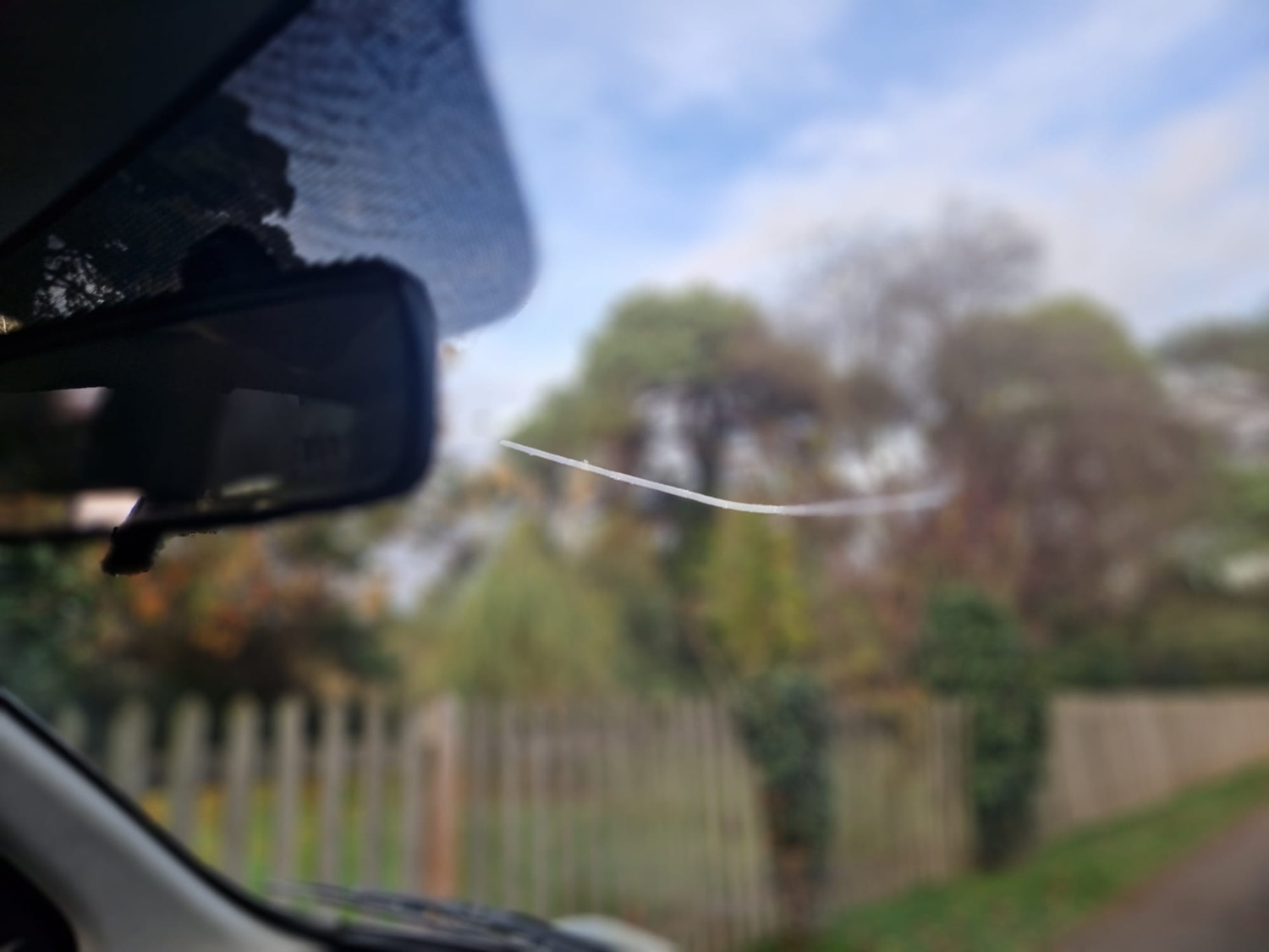 Used Nissan Micra 2008 for sale - 76556669: Photo 21