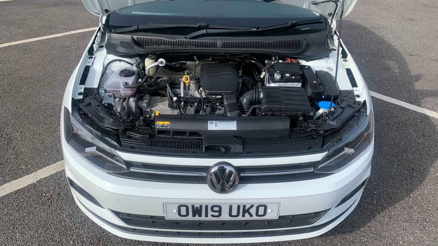 Used Volkswagen Polo 2019 for sale - 77973880: Photo 8