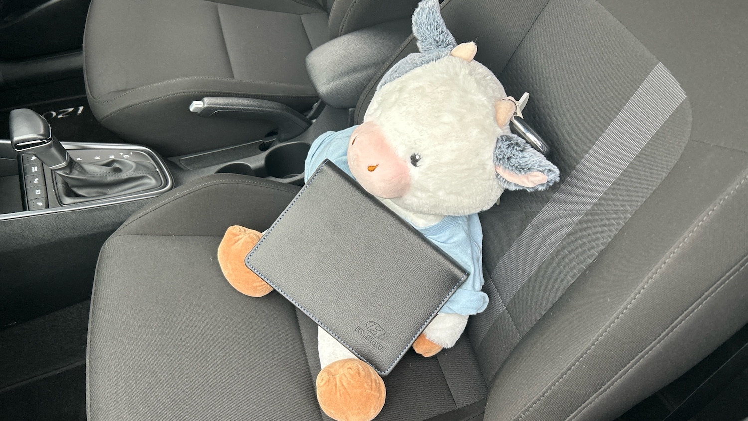 Used Hyundai i20 2024 for sale - 77708518: Photo 19