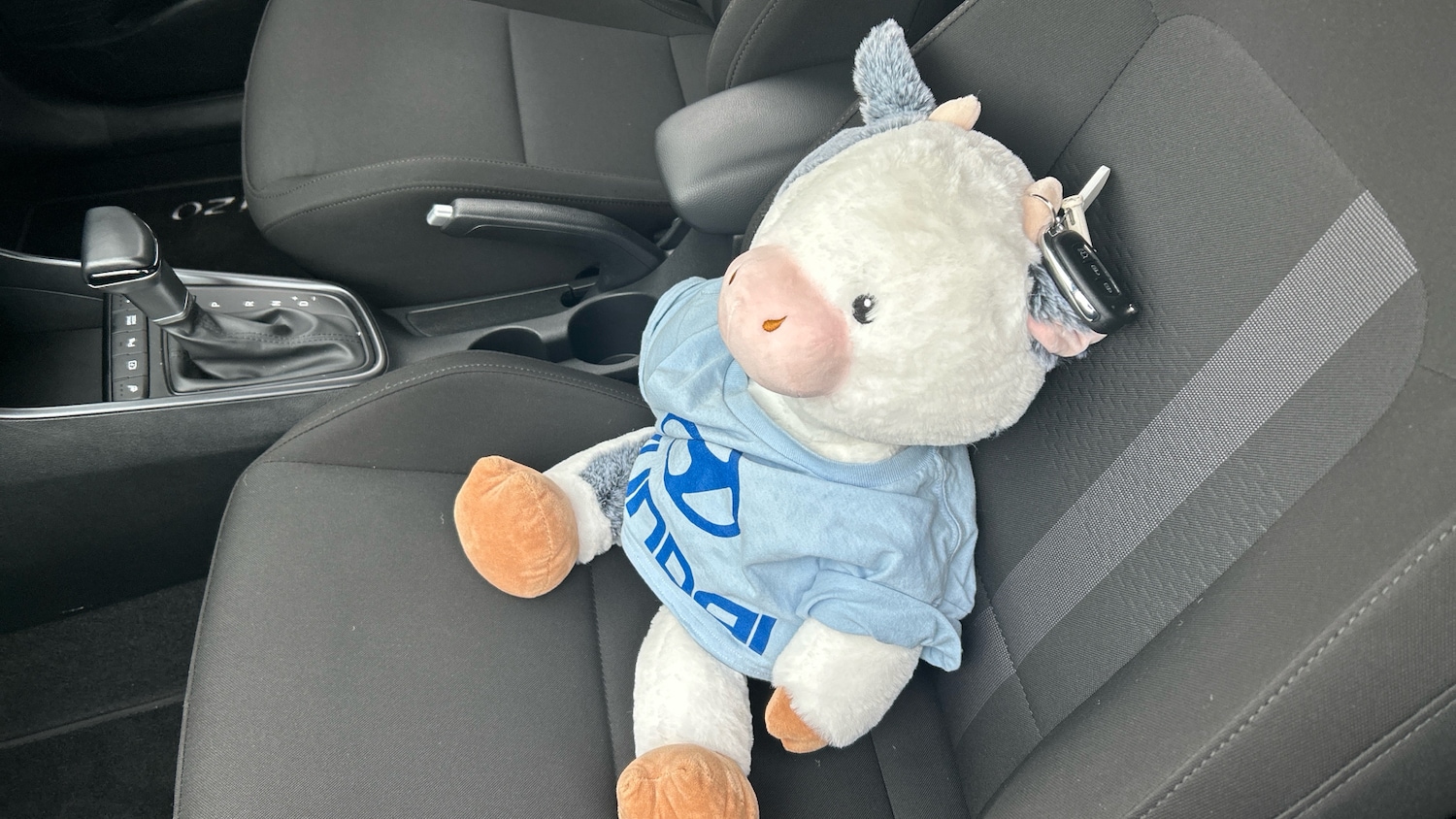 Used Hyundai i20 2024 for sale - 77708518: Photo 20